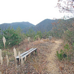 miwa2_40.jpg
