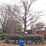 miwa2_42.jpg