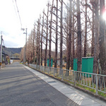 miwa2_46.jpg