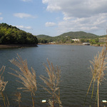 nakaike13_14.jpg