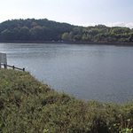 nakaike13_2.jpg