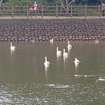 nakaike13_5.jpg