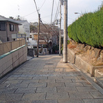nanasaka_61.jpg