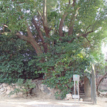nanasaka_66.jpg