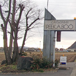 peekaboo_top1.jpg