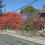 ryufukuji_top3.jpg