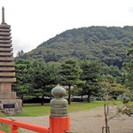 uji10_top6.jpg