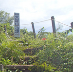 yamashiro_top8.jpg